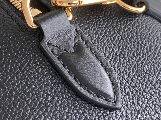 AAA Pruses Bags SPEEDY VUITTON BANDOULIÈRE LOUIS 25 0809